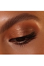 view 10 of 10 Golden Eyeshadow Palette in 