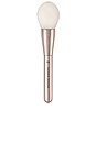 view 1 of 4 HY-GLAM Powder Brush in 