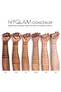 view 3 of 9 КОНСИЛЕР HY-GLAM CONCEALER in N7
