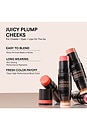 view 9 of 10 Rosy Pink Glow Blush & Lip Kit in 