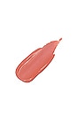 view 2 of 2 Magnetic Lip Plush Paint Stain in Waikiki Rose