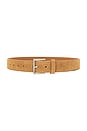 view 1 of 3 The Carrie Belt in Honey & Silver