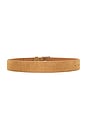 view 2 of 3 The Carrie Belt in Honey & Silver