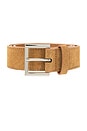 view 3 of 3 The Carrie Belt in Honey & Silver