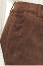 view 6 of 6 The Jude Cord Short in Brown