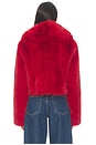 view 3 of 4 BLOUSON THE DELANEY FUR in Red