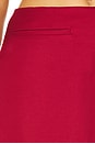 view 6 of 6 The Quinn Skirt in Cherry