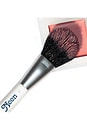 view 3 of 4 Duo Cheek & Face Brush in 
