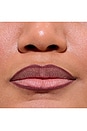 view 4 of 5 Lined Up Lip Liner in Orchard