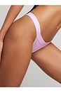 view 3 of 4 Sieve Thong in Babe