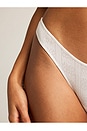 view 3 of 8 Pointelle Dipped Thong in White
