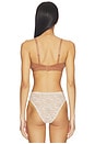 view 3 of 4 BRASSIÈRE in Fawn