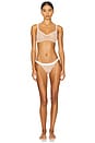view 6 of 7 Sieve Non-Wire Bra in Buff & White