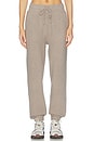 view 2 of 7 Waffle Knit Jogger in Mink