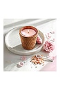 view 2 of 2 CLASSIC CANDLE キャンドル in Himalayan Salt & Rosewater