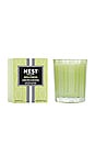 view 1 of 2 Lime Zest & Matcha Votive Candle in Lime Zest & Matcha