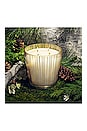 view 5 of 6 BIRCHWOOD PINE LUXURY CANDLE キャンドル in 