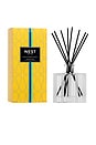 view 1 of 6 AMALFI LEMON & MINT REED DIFFUSER ディフューザー in 