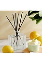 view 6 of 6 AMALFI LEMON & MINT REED DIFFUSER ディフューザー in 