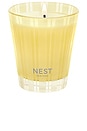 view 1 of 6 SUNLIT YUZU & NEROLI CLASSIC CANDLE 캔들 in 