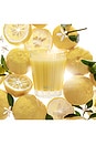 view 3 of 6 SUNLIT YUZU & NEROLI CLASSIC CANDLE 캔들 in 