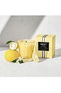 view 4 of 6 SUNLIT YUZU & NEROLI CLASSIC CANDLE 캔들 in 
