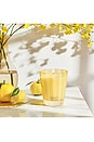 view 5 of 6 SUNLIT YUZU & NEROLI CLASSIC CANDLE 캔들 in 