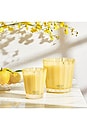 view 6 of 6 SUNLIT YUZU & NEROLI CLASSIC CANDLE 캔들 in 