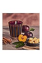 view 7 of 8 Autumn Plum Classic Candle in 