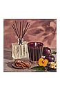view 8 of 8 Autumn Plum Classic Candle in 
