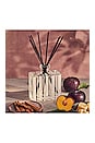 view 4 of 6 Autumn Plum Reed Diffuser in 