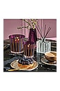 view 5 of 6 Autumn Plum Reed Diffuser in 