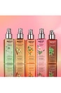 view 3 of 3 Seville Orange Perfume Oil Body Mist 125ml in 