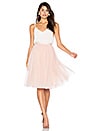view 4 of 4 Tulle Midi Skirt in Blush