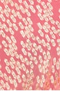 view 4 of 4 Tilda Dress in Pink