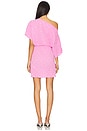 view 4 of 5 Mini Tilly Dress in Petal Pink