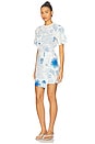 view 3 of 4 Isla Dress in Palma