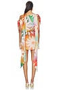 view 4 of 4 VESTIDO SOLEIL  in Multi