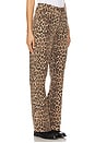view 2 of 6 Lucia Scallop Detail Straight Leg in Leopard