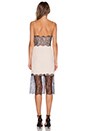 view 3 of 3 Lace Trim Dress in Nude