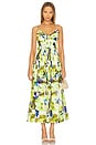 view 1 of 3 Mireille Belted Midi Dress in Limeade Blur Print