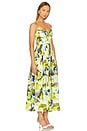 view 2 of 3 Mireille Belted Midi Dress in Limeade Blur Print
