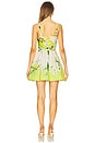 view 3 of 3 Eleni Panelled Mini Dress in Anisa Ivory Lemon