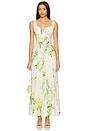 view 1 of 3 Dina Maxi Dress in Anisa Ivory Lemon