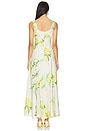 view 3 of 3 Dina Maxi Dress in Anisa Ivory Lemon