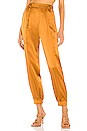 view 1 of 4 Neha Jogger Pant with Front Tab in Caramel