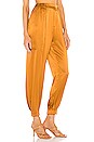 view 2 of 4 Neha Jogger Pant with Front Tab in Caramel