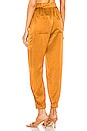 view 3 of 4 Neha Jogger Pant with Front Tab in Caramel
