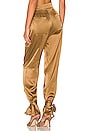 view 3 of 4 Erato Pant in Cigar