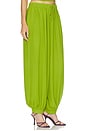 view 2 of 6 Liselle Pant in Leaf